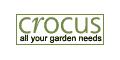 Crocus Crocus